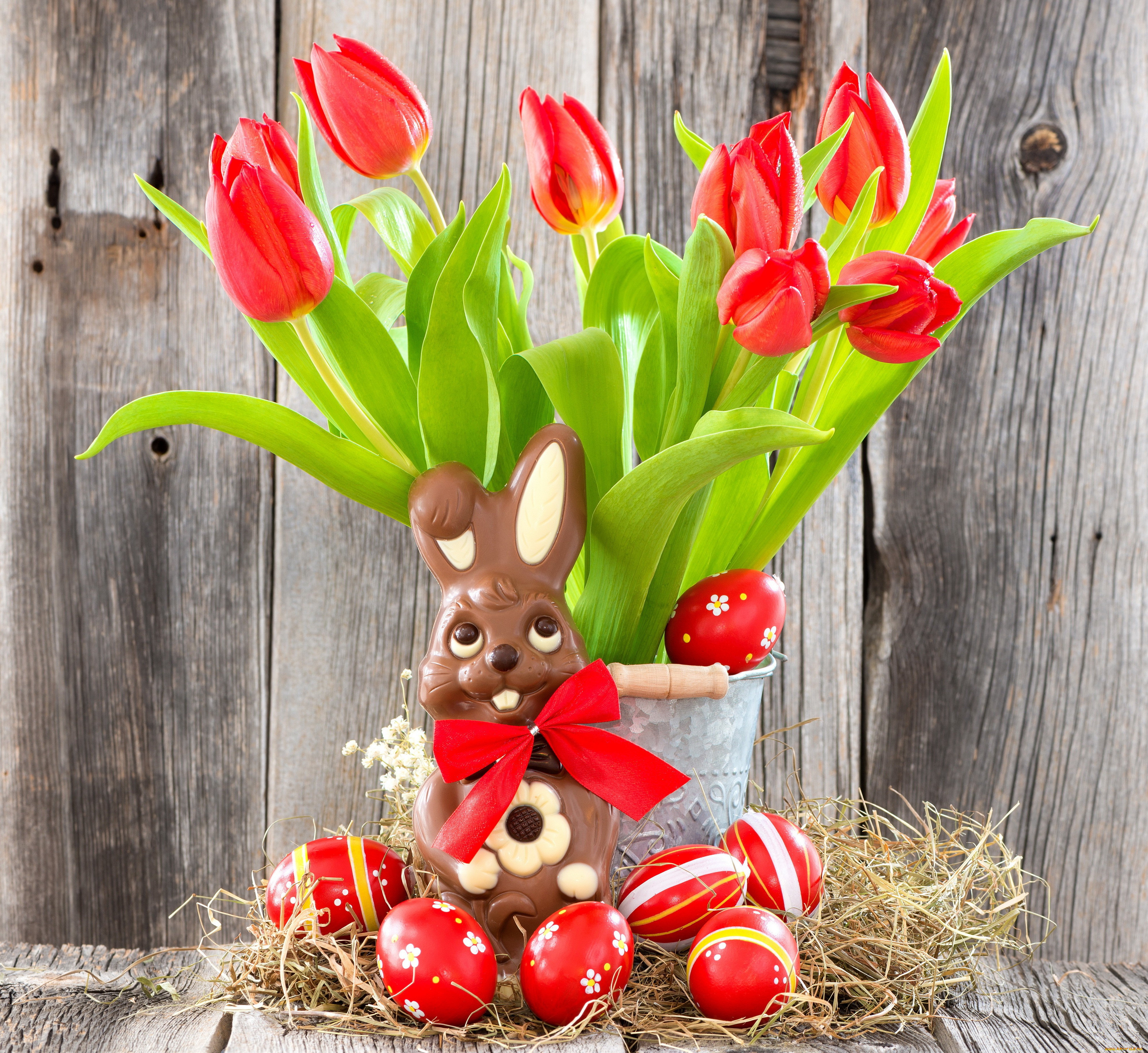 , , easter, eggs, bunny, tulips, red, , , flowers